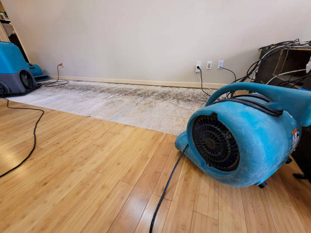 Professional Structural Drying technician working in Chelsea, MA